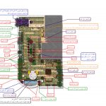 Roof Plants Infographic